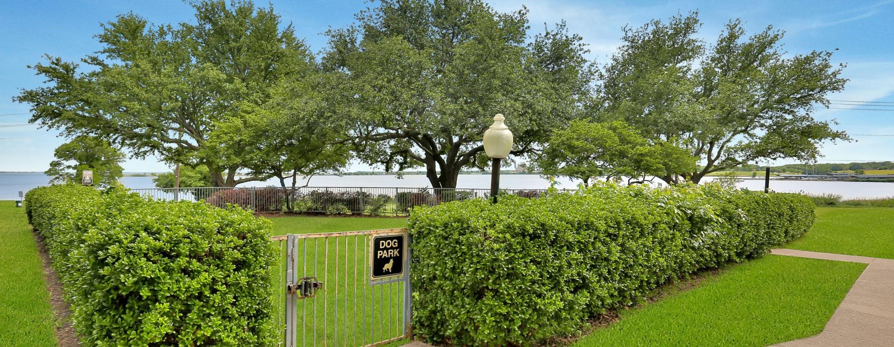 a gated walkway with bushes and trees on either side of it